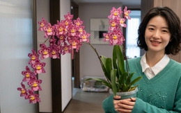 Trồng thử chậu lan vũ nữ da báo giá "bèo", mẹ đảm bất ngờ vì hoa nở rực rỡ suốt cả tháng, nhà cửa bừng sáng sinh khí