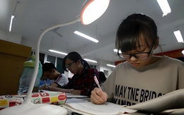 "Con tôi 12 năm học đều học trường tốt nhất nhưng chỉ đỗ ĐH hạng 2": Tâm sự của Giáo sư nổi tiếng gây tranh luận