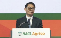 Công ty Nông nghiệp của tỷ phú Trần Bá Dương lỗ luỹ kế hơn 10.000 tỷ đồng, kiểm toán nghi ngờ khả năng hoạt động liên tục