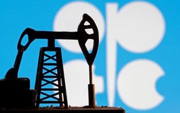 OPEC+ chuẩn bị báo tin cực vui ra thị trường