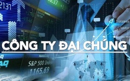 Loạt doanh nghiệp vừa bị hủy tư cách công ty đại chúng