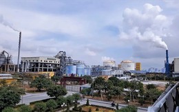 2 lãnh đạo một công ty phân bón 4.000 tỷ đồng loạt từ nhiệm trước thềm ĐHĐCĐ thường niên