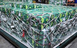 Việt Nam đón tin vui từ Trung Đông: Lần đầu tiên siêu tập đoàn 8 tỷ USD thuê máy bay chở 100 tấn rau quả Việt sang tiêu thụ