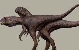 Quái vật 201 triệu tuổi "trỗi dậy" từ mỏ đá ở Mỹ