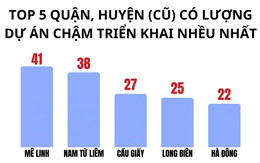 Bóc 341 dự án "đắp chiếu" tại Hà Nội: Mê Linh dẫn đầu số lượng dự án, hàng loạt doanh nghiệp đình đám Viglacera, Geleximco, Nam Cường, Sudico...bị điểm tên