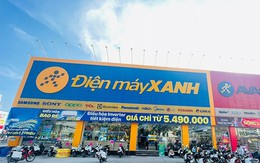 Tin vui cho MWG: DMX báo lãi tăng 49% trước thềm IPO, EraBlue dự kiến hết lỗ luỹ kế ngay trong quý 3