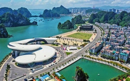 Tin vui: Trong 9 ngày từ 25/4 -3/5, người dân đến Quảng Ninh sẽ được miễn phí dịch vụ này