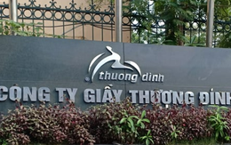 Vinaconex tính mua cổ phần của Giầy Thượng Đình