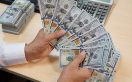 Người mua, bán ngoại tệ sẽ bị tịch thu số tiền nếu thực hiện hành vi sau