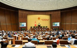 Ngày 22/4, Quốc hội thảo luận về việc thành lập thành phố Đồng Nai trực thuộc Trung ương