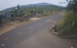 Vụ nam sinh lao xe xuống mương tử vong: Đình chỉ một thiếu tá CSGT để phục vụ điều tra