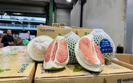 Tin vui: Lô bưởi tươi Việt Nam đầu tiên đã được thông quan vào thị trường Australia