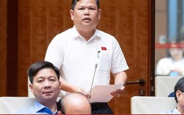 ĐBQH đề xuất nâng ngưỡng chịu thuế với hộ kinh doanh lên 3 tỷ đồng/năm