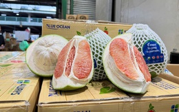 Lô bưởi Việt Nam lần đầu vào Úc