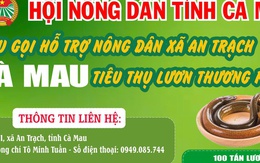 Cà Mau kêu gọi "giải cứu" lươn với giá 60.000 đồng/kg