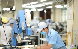 Nhập siêu 7,9 tỷ USD do đâu?