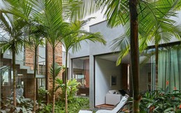 4 loại cây nên trồng trước cửa nhà: Vừa ‘trấn trạch’, vừa ‘hút’ tài lộc