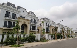 Phố đi bộ nghìn tỷ ở Bắc Ninh đìu hiu, biệt thự bỏ hoang cho cỏ mọc