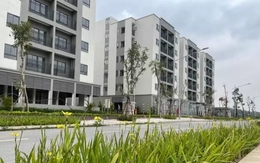 Hà Nội mở bán căn hộ NƠXH giá dưới 1 tỷ đồng/căn