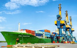 Quỹ Leadvisors trở thành cổ đông lớn của Viconship