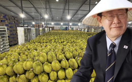 Loại quả của Việt Nam khiến Tổng thống Hàn Quốc ăn không ngừng, xuýt xoa khen ngon - Xuất khẩu sang xứ sở kim chi tăng khủng 300%
