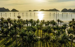 Đầu tư BĐS nghỉ dưỡng Cát Bà: Dự án nào sẽ “đón sóng”?