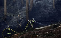 Cháy rừng tại Nhật Bản khiến 3.000 người sơ tán, lính cứu hỏa căng mình dập lửa