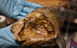 Giải mã "trứng quái vật ngoài hành tinh" xuất hiện ở 3.200m dưới đáy biển khiến cả thế giới đau đầu suốt 3 năm qua