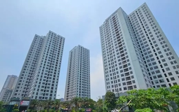 Đôi vợ chồng chiếm đoạt 29 tỷ đồng từ việc lừa bán nhà, đất ưu đãi của doanh nghiệp quốc phòng