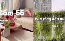 67m² hoàn thiện với 55 triệu: Cặp vợ chồng trẻ ở TP HCM tự làm nội thất, góc ban công xanh mát khiến căn nhà như rộng thêm