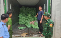 Kiểm tra bất ngờ một loạt tiểu thương: Tịch thu hàng nghìn tấn sản phẩm sai phạm, có người bị phạt 125 triệu đồng