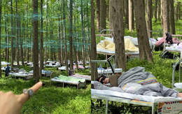 Cuộc thi ngủ trong rừng đang hot ở Trung Quốc: Kín 400 suất đăng ký, tiền thưởng cho “thần ngủ" là bao nhiêu?