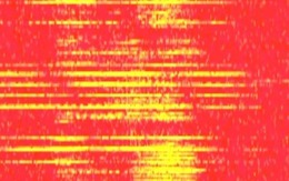 Phát hiện thông điệp khẩn cấp bí ẩn trên mạng lưới quân sự Mỹ