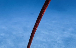 Thả một sợi cáp dài 10 km xuống đáy biển, các nhà khoa học phát hiện 56.000 tín hiệu lạ chỉ trong 21 ngày