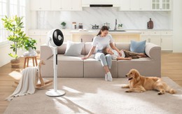 "Phá đảo" công nghệ làm mát với động cơ siêu êm của quạt tuần hoàn không khí Levoit CirculAir 22.9cm