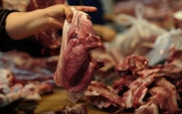 Dùng thịt động vật chết, phụ gia độc hại chế biến thực phẩm: Đề xuất phạt đến 100 triệu