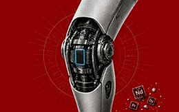 Điểm nghẽn chính trong việc sản xuất hàng loạt robot hình người có thể là một loại vật liệu hầu như chỉ được sản xuất ở Trung Quốc