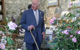 Quy tắc làm vườn kỳ lạ của Vua Charles: Cà rốt phải nhỏ bằng ngón tay út, bí ngô thì tuyệt đối không