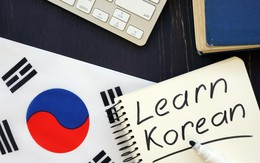 Lời khuyên dành cho người đang học tiếng Hàn Quốc
