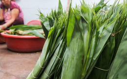 2 thứ bỏ đi ở Việt Nam, trời Tây có giá đắt đỏ, nhất cái số 1 ở quê rụng đầy vườn