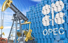OPEC đứng trước kỷ nguyên quyền lực suy yếu chưa từng có trong lịch sử 70 năm, chỉ còn nắm 20% thị phần dầu mỏ