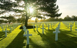 Công ty mai táng trả cổ tức tiền mặt "khủng"