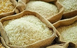 Giá gạo toàn cầu dự báo tăng mạnh