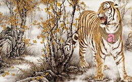 Trời sinh thông minh lại có gan làm giàu: 4 con giáp đếm tiền mỏi tay, xốn xang tận hưởng suốt tháng 4 và tháng 5