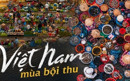 Một nhiếp ảnh gia Trung Quốc đi 10 ngày khắp Việt Nam: 9 bức ảnh "mùa gặt" hé lộ vẻ đẹp lao động khiến cả thế giới ngỡ ngàng