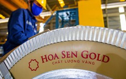 Hoa Sen Group chốt ngày phát hành hơn 186 triệu cổ phiếu trả cổ tức