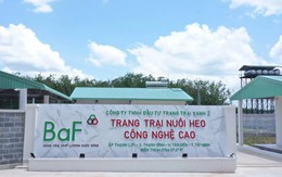 BaF Việt Nam chốt ngày tổ chức ĐHĐCĐ thường niên năm 2026