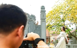 Người Hà Nội bắc ghế săn ảnh hoa bún chỉ nở một lần trong năm