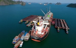 Đối tác từ Mỹ muốn đầu tư cảng Con Ong - Hòn Nét