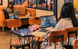 “Thanh niên 3 không” tăng nhanh, chạm mốc 1,6 triệu người